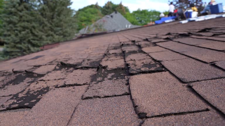 Best Storm Damage Roof Repair  in Svis, IL