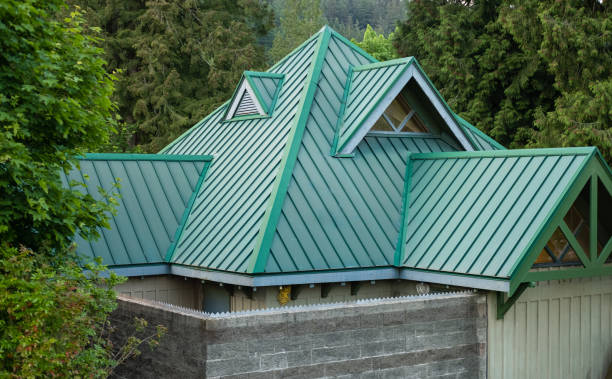 Best Roof Maintenance and Cleaning  in Svis, IL