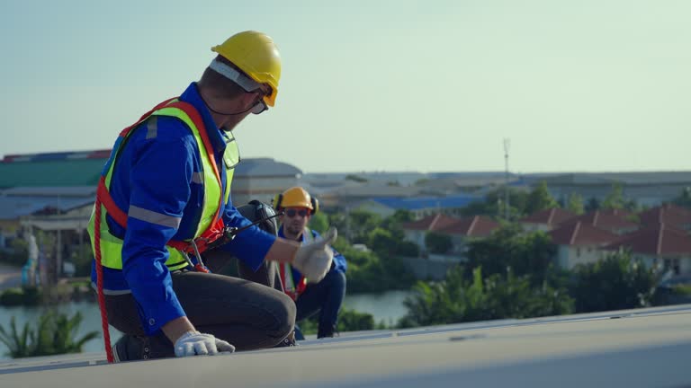 Best Asphalt Shingle Roofing  in Svis, IL