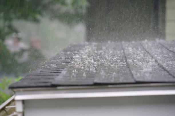Best Skylight Installation and Repair  in Svis, IL