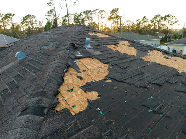 Best Roof Insulation Installation  in Svis, IL
