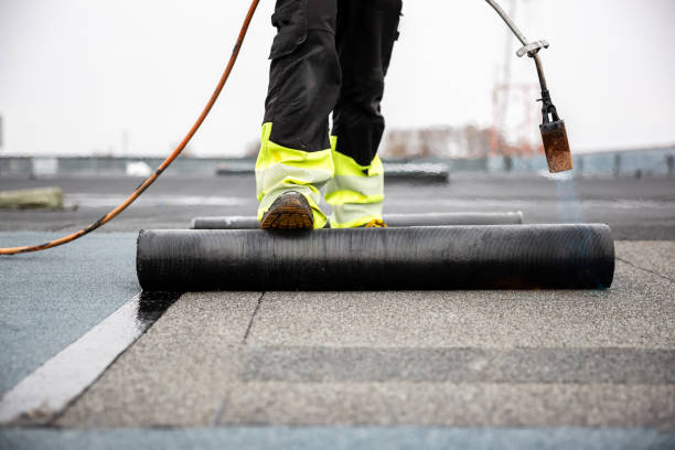 Best Roof Maintenance and Cleaning  in Svis, IL