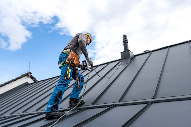 Best Sheet Metal Roofing  in Svis, IL
