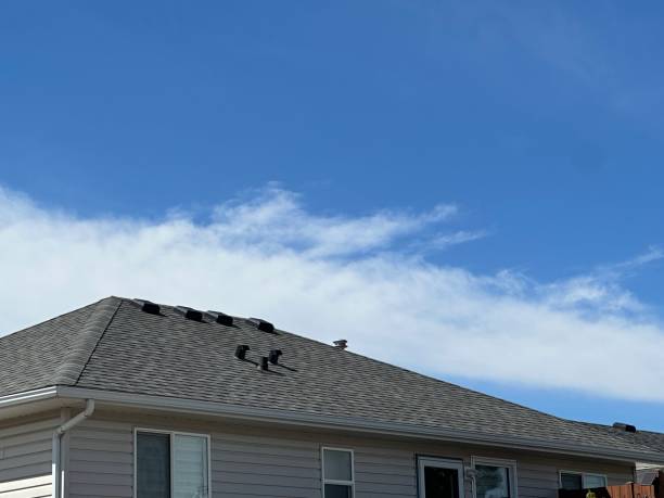 Best Solar Panel Roofing Installation  in Svis, IL